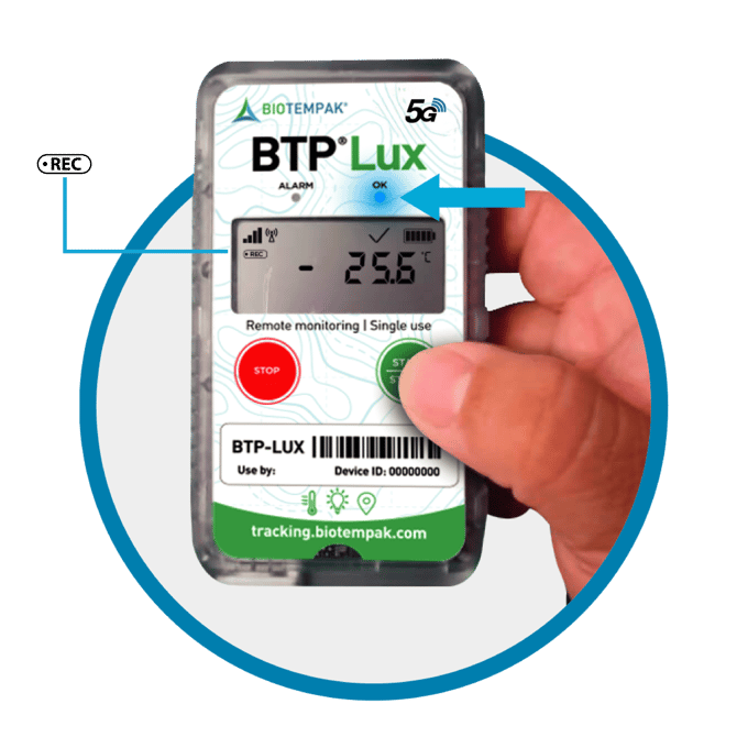 BTP LUX_Mesa de trabajo 1 copia 8